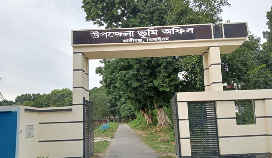 image-here